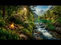 Morning Campfire By A Crystal Mountain River Fresh Nature Sounds For Pure Relaxation 