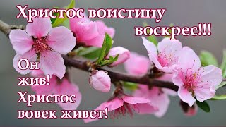 Христос воскрес! С праздником Пасхи! Музыкальная открытка