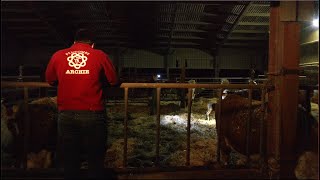 The Farmers' Boy - Student Documentary