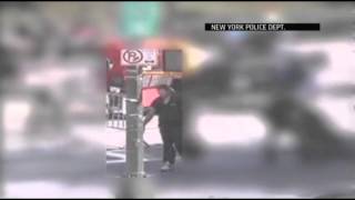 Central Park Rape Suspect Arrested