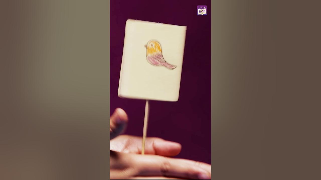 Persistence Of Vision Class 8 Easy Science Experiments To Do At Home persistence-of-vision-class-8-easy-science-experiments-to-do-at-home