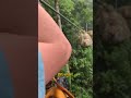 Crashing into a sloth on a zip line