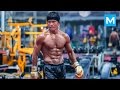 Buakaw Training for Next Fight | Muscle Madness