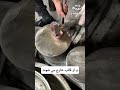 راز ضرب سکه در دوران باستان 