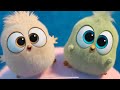 The Angry Birds | J.Geco - Chicken Song  ( Music Video HD)