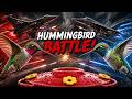 Hummingbird Dogfight 🛩️🐦