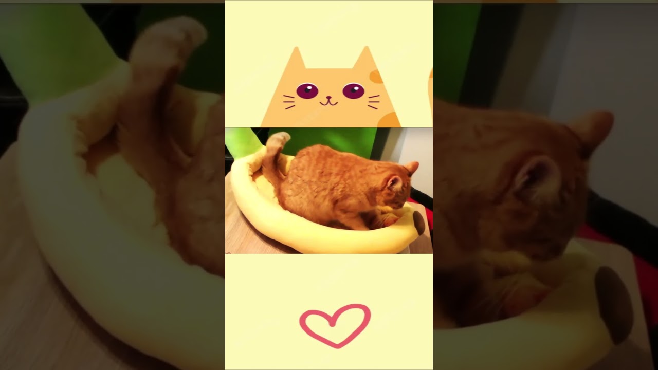 This is Princess Peach  