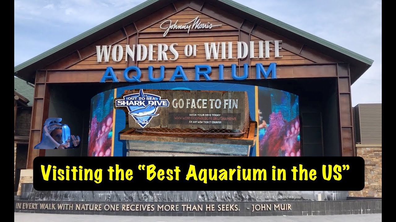 Visiting the "BEST Aquarium in the United States" YouTube