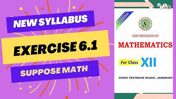 Class 12 Exercise 6.1 (COMPLETE) | INTEGRATION | Sindh Board (New Course)