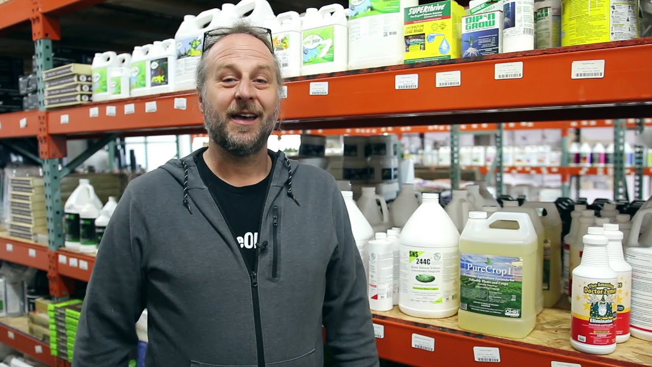 The Amazing Doctor Zymes Eliminator Review [Insecticide]