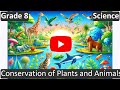 Flora And Fauna: Exploring Endemic Species And Migration In Biodiversity