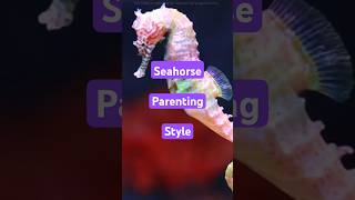 Seahorse parenting style in tamil #tamil #science