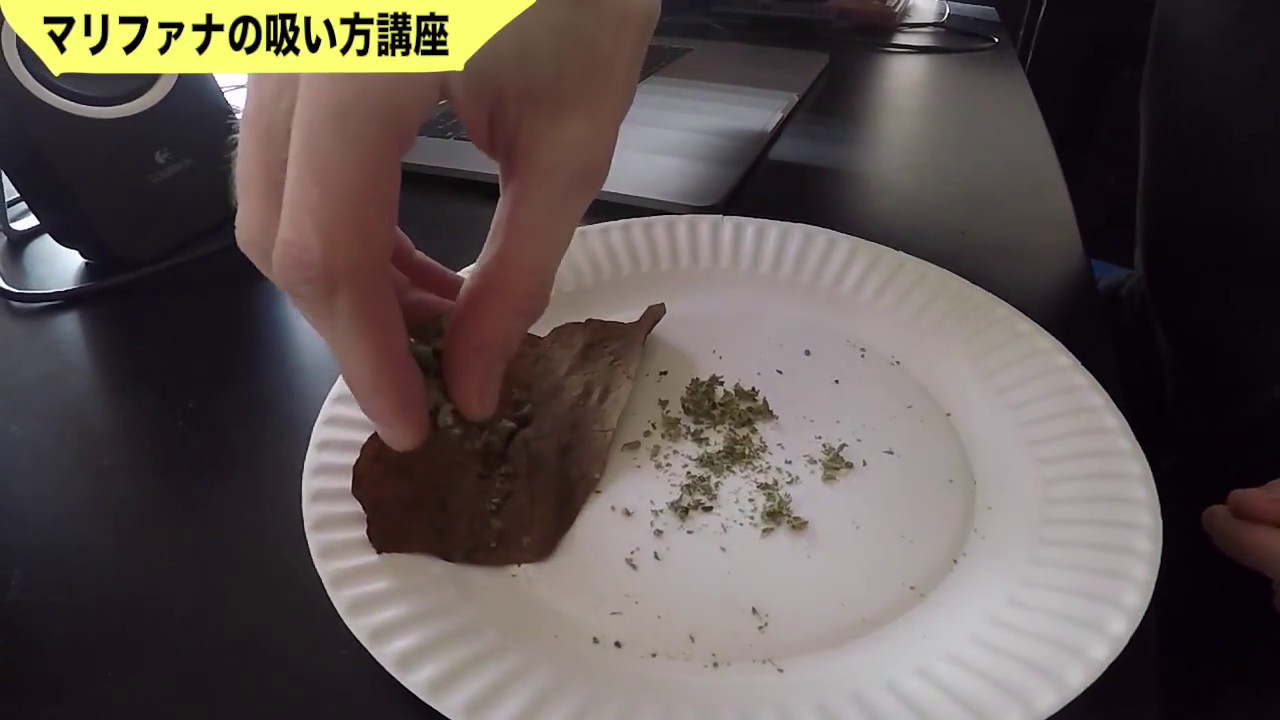 イケメンdqnによるマリファナの吸い方講座 Japanese Activist Smokes