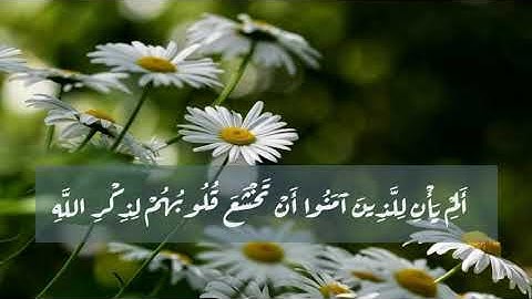 ألم يأن للذين آمنوا أن تخشع قلوبهم لذكر الله . سورة الحديد . بصوت بسام مسعود