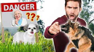 LOOSE DOG: Irresponsible owners, pepper spray, LAW
