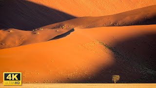 Watch Desert Landscape in 4K Video Ultra HD with Relaxing Music