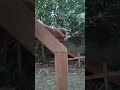trick Carpenters 👍 #carpenter #woodworking #wood #diy #furniture #shorts