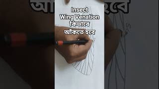 How to draw 'Insect Wing Venation''  #insects #entomology