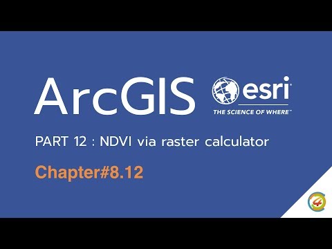 ArcGIS: LANDSAT 8 computing NDVI in ArcGIS