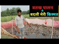 500  बतख से करे  शुरआत   II   बतख पालन करके आप भी बन सकते है   आमिर   @@@ Indian farming technology