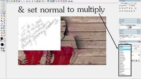 How to add brushes with Photoline