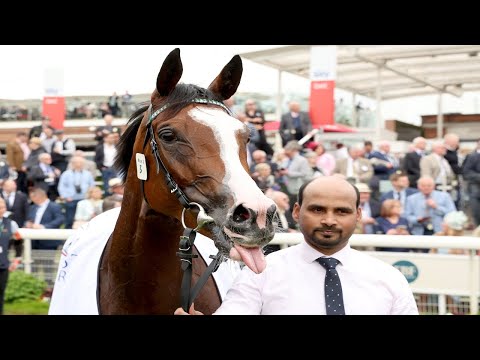 Free wind tastes middleton stakes glory at york