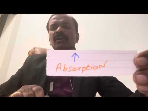 Fermentation Of Food Uses