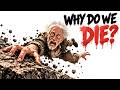 Why Did Evolution Invent Death?(It’s Not What You Think)