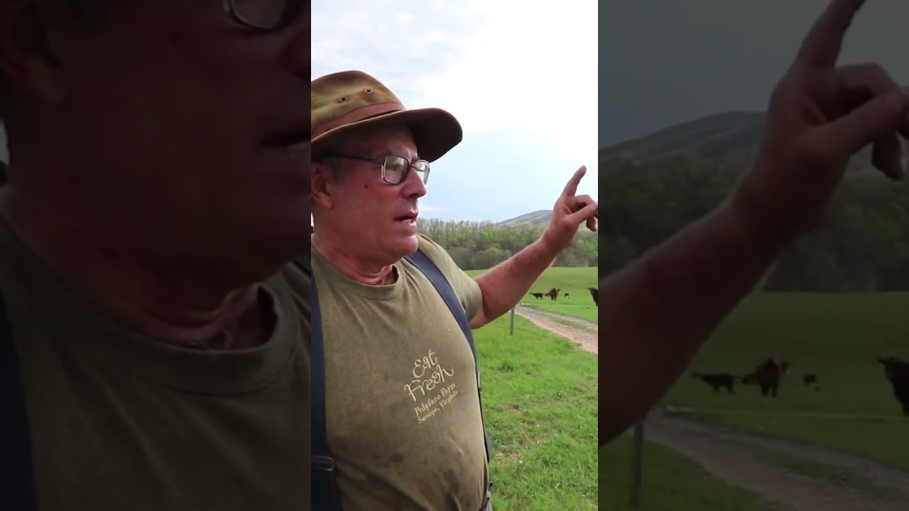 What S Wrong With Goats According To Joel Salatin 