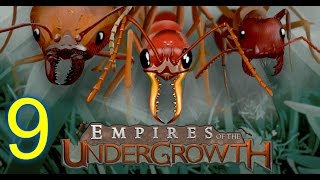 EMPIRES OF THE UNDERGROWTH (HD) [Subshouts] --9 (Ant Colony Simulator)-- COLONY ARISES!! screenshot 2