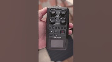 Do They Have Good Displays? Zoom H4n Pro, H5 and H6