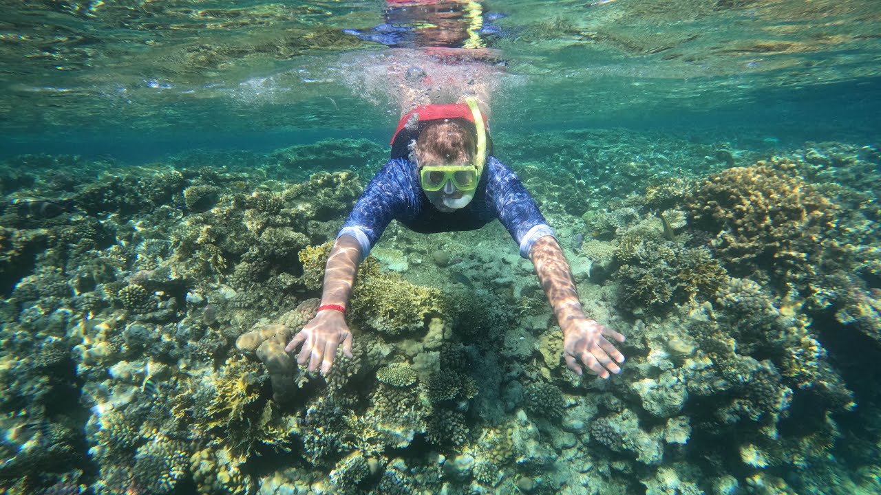 Египет. Шарм-эль-Шейх. Декабрь 2025.