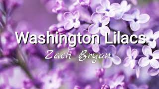 Video thumbnail of "Zach Bryan - Washington Lilacs"