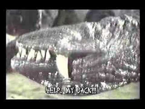 McAfee Chiropractic - Giant Monsters w/ Bad Back G...