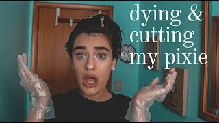 cutting & dying my pixie cut for the first time in 4 months. Wealth