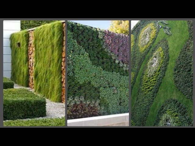Interior Green Wall Ideas - Home Design