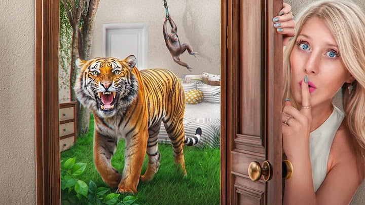 I Built a Zoo In My House!