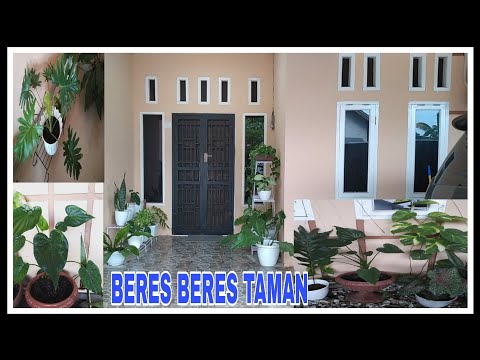 Video: Tumbuhan Apa Yang Harus Dipilih Untuk Taman Basah