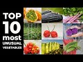 TOP 10 Most Unusual Vegetables