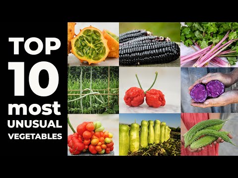 TOP 10 Most Unusual Vegetables