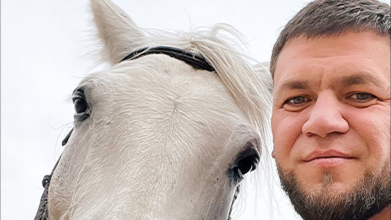 Опасно ?? Один день из жизни лошади! - YouTube