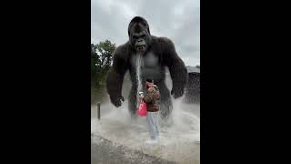#kong vs #the #world