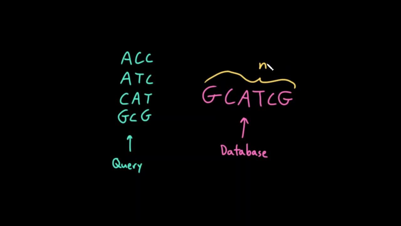 Advanced Data Structures: Matching a Query Set of Many Short Strings to ...