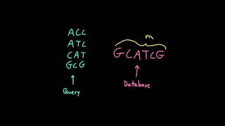 Celebrity Advanced Data Structures: Matching a Query Set of Many Short Strings to a Long Database String Profile