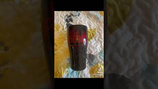 Celebrity Crafts by Kayla Manning Net Worth