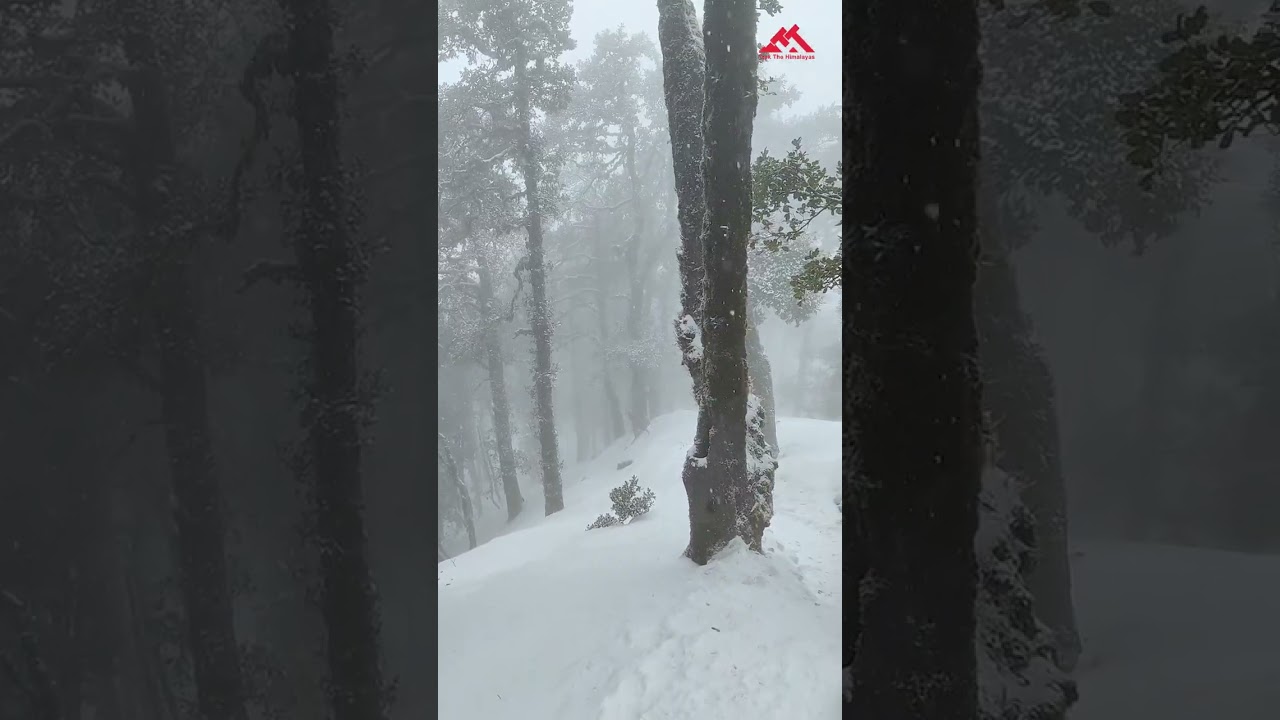 Trekker Testimonial | Nag Tibba with TTH