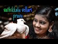 Vathikkalu vellari pravu dance cover aiswarya lakshmi guruvayoor