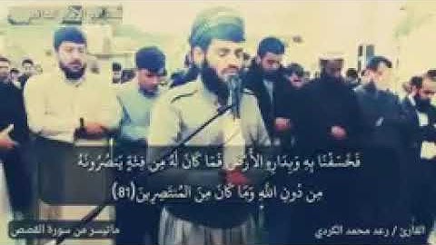 ما تيسر من سورة القصص بصوت جميل القارئ رعد الكردي