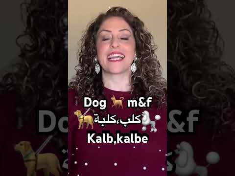  كلب          