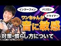【音・風に敏感】ワンちゃんがインターフォンやドライヤーなどに敏感に反応して吠える時の対策と慣らし方